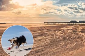 Major council update on Fylde coast dogs ban as pets officially welcomed back to St Annes Beach