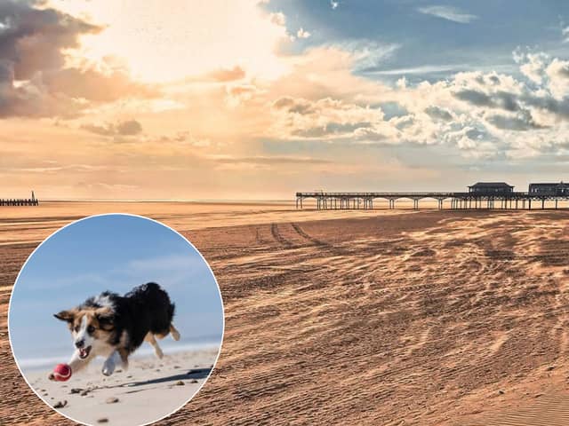 Major council update on Fylde coast dogs ban as pets officially welcomed back to St Annes Beach