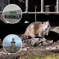'We want to reassure' - Asda responds after 'giant rat' seen scurrying around Fleetwood supermarket car park