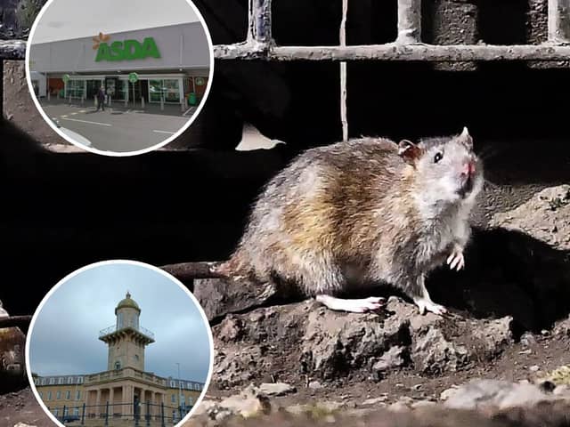 Rats have been spotted at Asda car park and near to the Lower Lighthouse