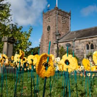 11 brilliant pictures of the cascade of poppies on show at St Chad's Church, Poulton ahead of Remembrance Day