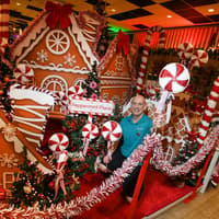 'We're getting ready...' - Barton Grange Garden Centre prepares to unveil Christmas displays