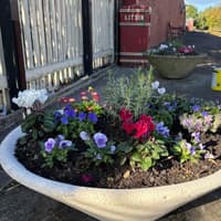 Fylde coast railway station has no trains running through it but volunteers ensure it looks perfect