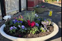 Thornton Railway Station is being spruced up by volunteers|Love Thornton