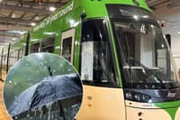 Blackpool Transport has resumed services on its tramway after severe weather forced the operator to shut down routes yesterday.