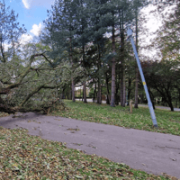 Tree collapses onto path in Blackpool's Stanley Park due to Storm Boelo winds