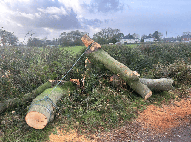 Engineers were forced to chop up collapsed trees before fixing the cables in Out Rawclife