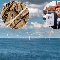 New concerns over controversial Morgan and Morecambe Offshore Wind Farm cabling plans amid wildlife worries