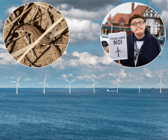 Concerns have been raised about disruption to St Annes' environmentally sensitive sites caused by ground works for the Morecambe Windfarm project
