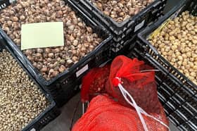 Fylde Rangers are inviting residents to lend a hand with spring bulb planting at Hope Street Park in Lytham on Thursday 29 October.