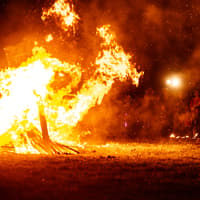 10 mesmerising pictures from the Welcome to Winter light event in Mereside