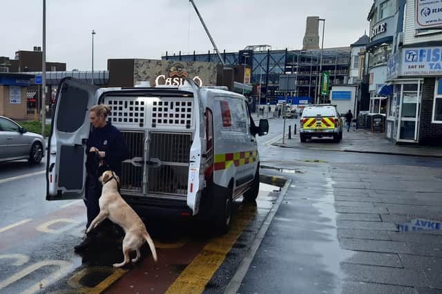 A sniffer dog was used at the Almar hotel, in Central Drive, Blackpool, as an investigation got underway into the cause of a fire on Monday, November 25, 2019 (Picture: Wes Holmes/JPIMedia)