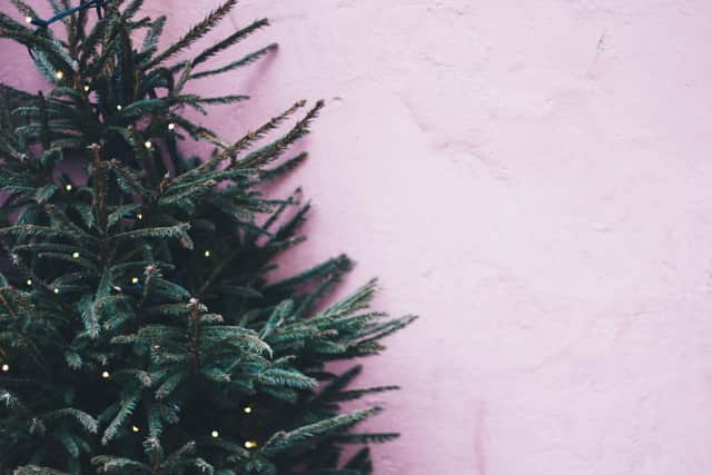 Photo by Maria Tyutina from Pexels