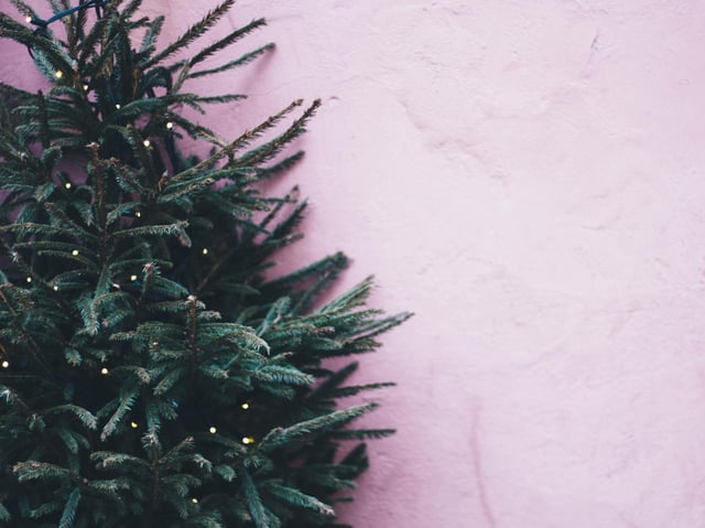 Photo by Maria Tyutina from Pexels