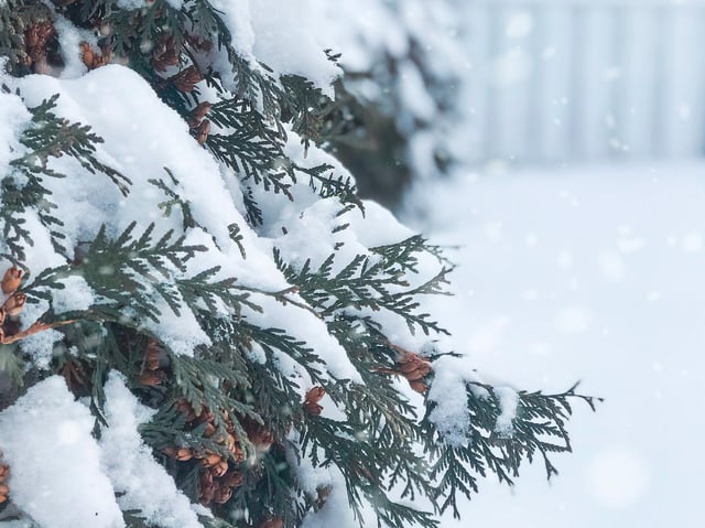 Fylde coast healthcare professionals have already seen an increase in patients as the cold weather hits.