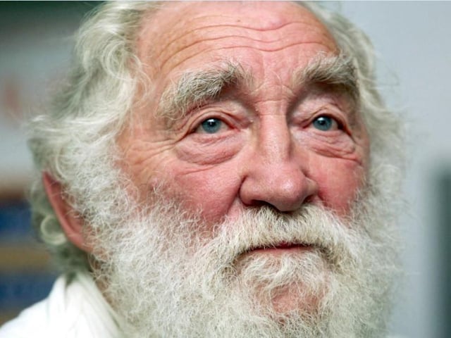 David Bellamy