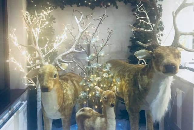 The reindeer display from last year's Mossom Lane Christmas event.