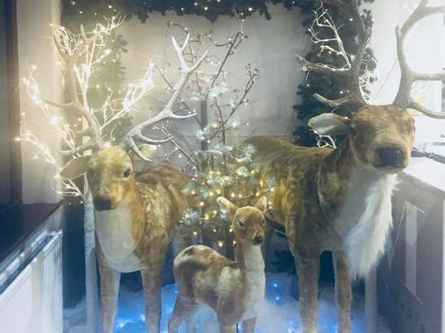 The reindeer display from last year's Mossom Lane Christmas event.