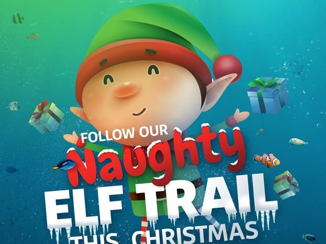 Naughty elf trail