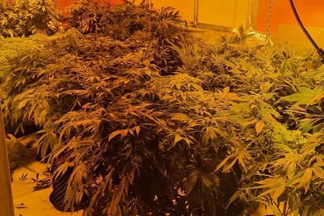 Police raided Curry Time takeaway in Vicarage Lane, Marton this morning (December 24) where they discovered a cannabis farm. Pic: Lancashire Police