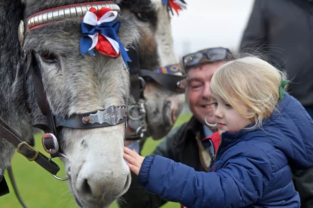 Making friends with a donkey at Armfield Academy
