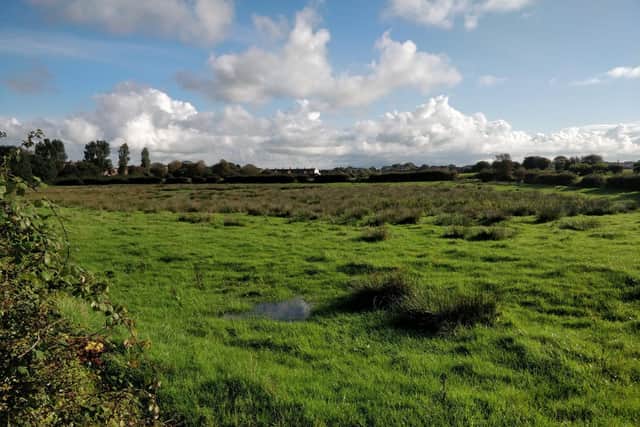 The farmland, pictured in September 2019, where Blackpool Council wants to build 330 homes, in move that has been opposed by some residents and Wyre's planning chief Coun Michael Vincent (Picture: Michael Holmes for JPIMedia)