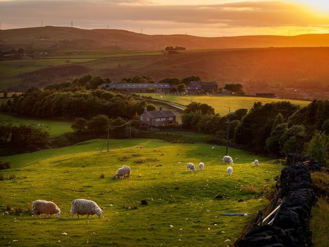 Spring time always provides some welcome release from the cold and dark of winter. Picture: Shutterstock