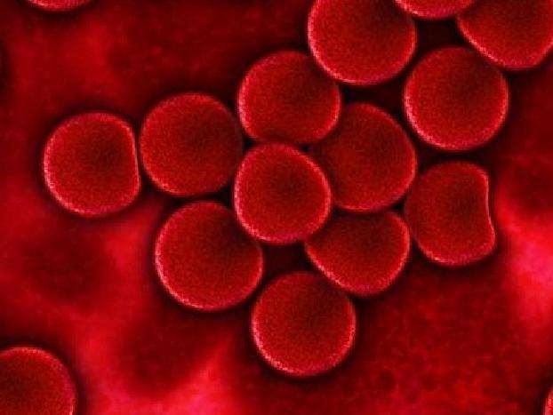 Blood cells