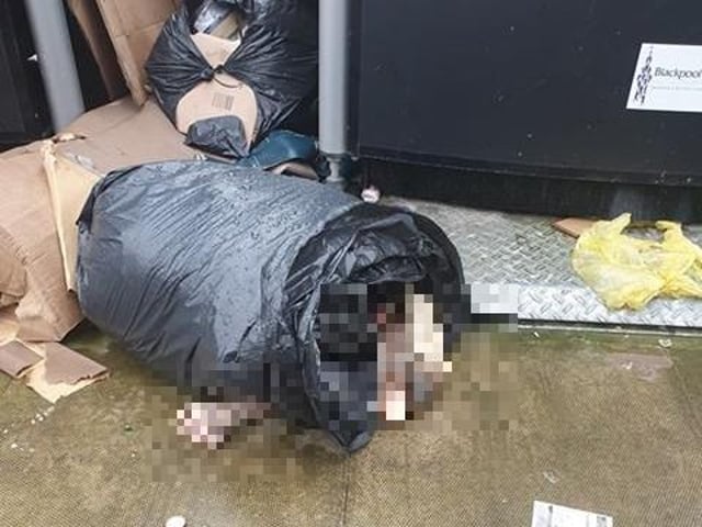 The body was found near the recycling bins. Picture by Sophie Hardman