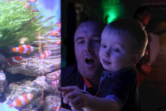 Enjoy a family day at the Sealife Centre, Blackpool, with the Local Residents Annual Pass