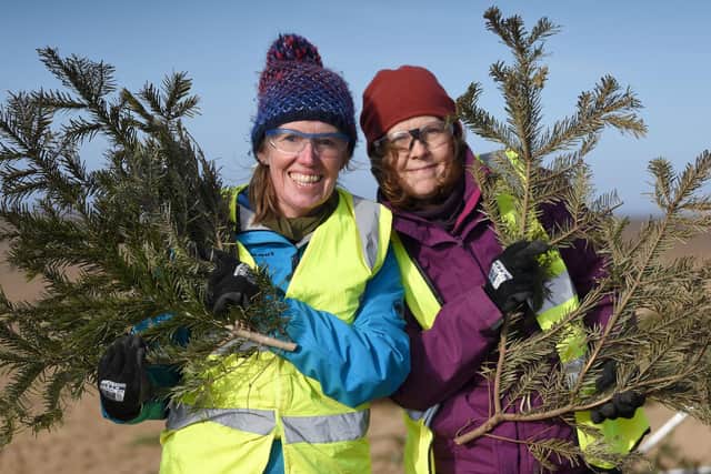 Julie Norman and Rachel Harrison from Park View 4U, Lytham were among the volunteers helping to plant old Christmas trees on St Annes beach
