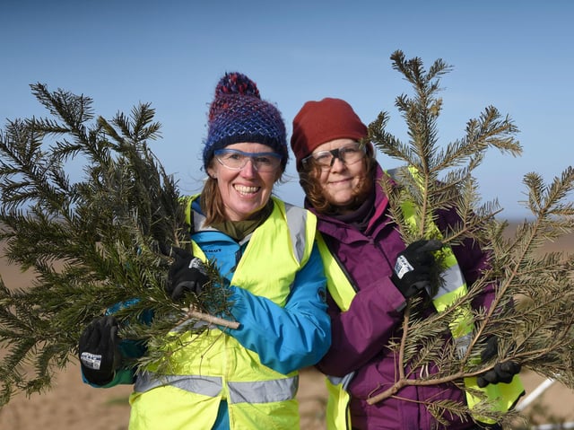 Julie Norman and Rachel Harrison from Park View 4U, Lytham were among the volunteers helping to plant old Christmas trees on St Annes beach