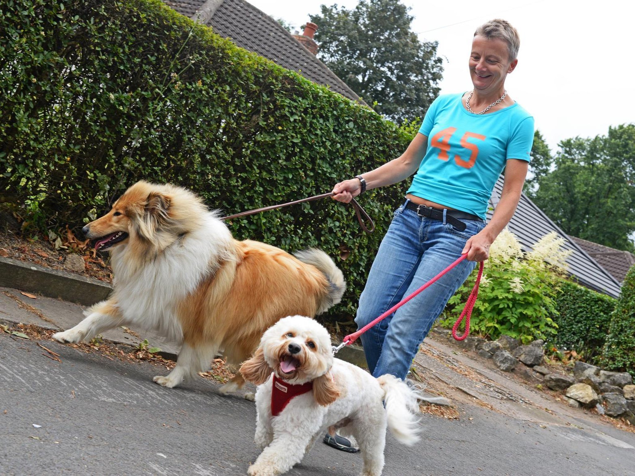 Here are the five of the best dog kennels in Lancashire