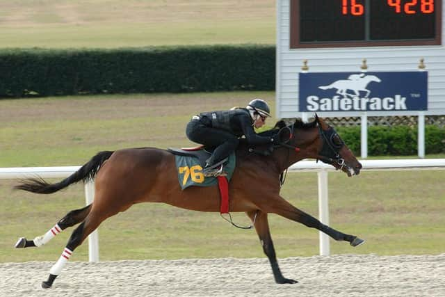 The Safetrack racing surface from Andrews Bowen