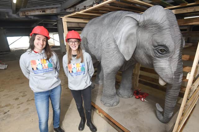 Pictured with the elephant are Showtown exhibitions director Jill Carruthers and Kerry Vasiliou, also from the museum project