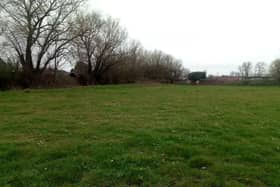 Marton Moss