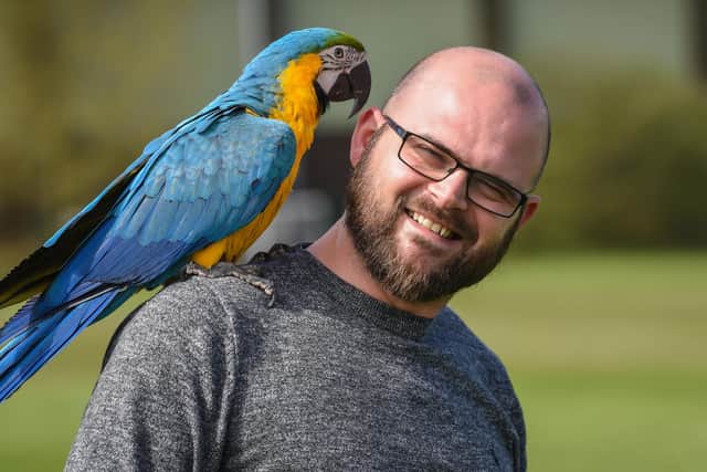 Matthew Arnold from Cleveleys has trained Rio the macaw to fly freely without a tether.