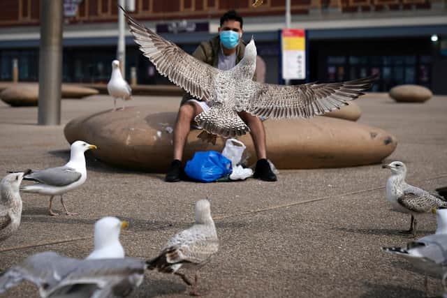 Seagulls are fed bread by a local man wearing a mask near the deserted beach and promenade in Blackpool (Photo by Christopher Furlong/Getty Images)