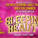 Bagz Chips Divina De Campo and Blu Hydrangea in adult panto Sleeping with Beauty