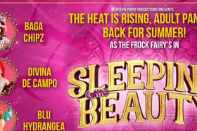 Bagz Chips Divina De Campo and Blu Hydrangea in adult panto Sleeping with Beauty