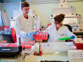 A typical hospital laboratory where tests for coronavirus take place among other important functitons
