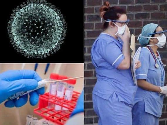 Breakthrough UK antibody test tells if you have had coronavirus with 100% accuracy