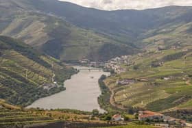 The Douro Valley in Portugal