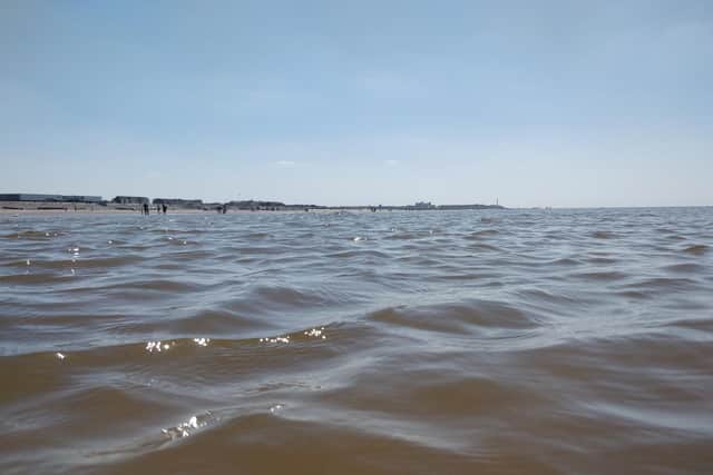 The sea water quality on the Fylde coast is the best it has been in years, leading to an abundance of marine life (Picture: Michael Holmes for JPIMedia)