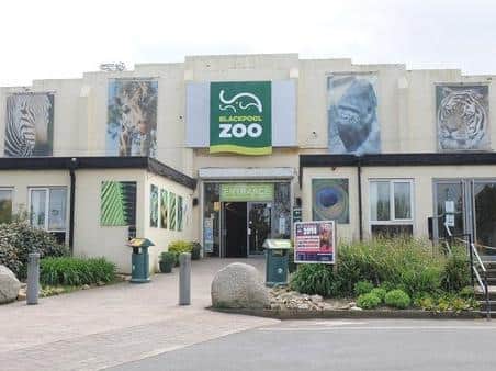Blackpool Zoo is set to reopen to the general public from Monday, June 29.