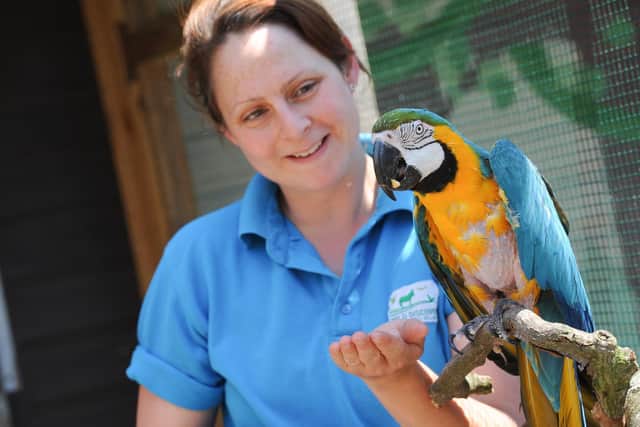 Ella Trickett and parrot Sydney, one of the many animals she and Neil look after at Wild Discovery with their team.