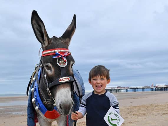 The donkeys have been a key attraction on Blackpool beach for generations. Picture: Dave Nelson