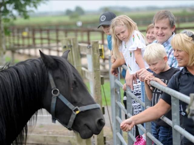 World Horse Welfare Penny Farm