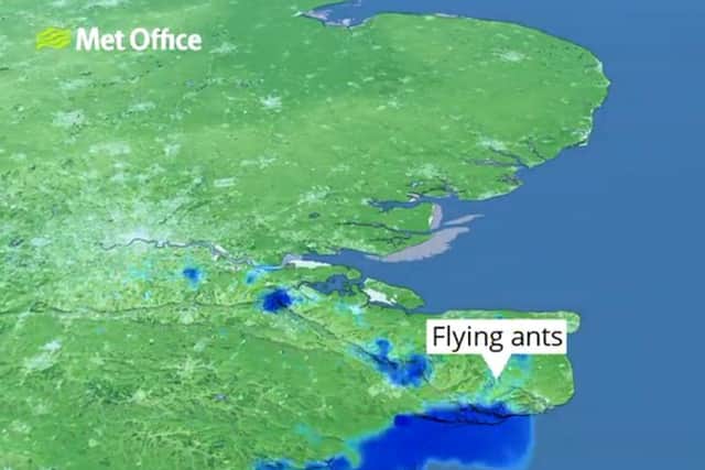 The Met Office's radar imagery picked up the cloud of ants, around 50 miles wide