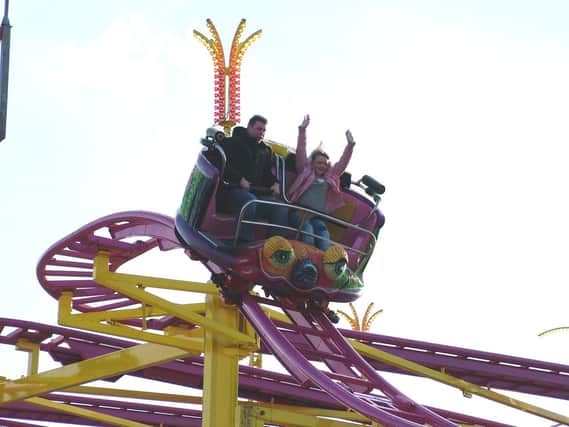 The Wild Mouse